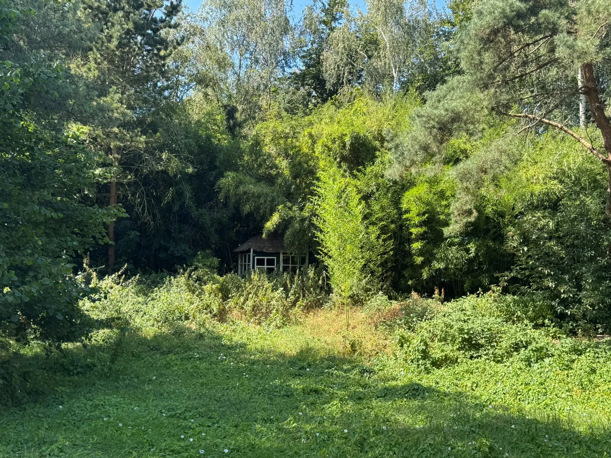 Clearing the Garden Shed